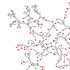 Link to the page for the 'Tree Circle' print