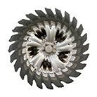 Link to the prints page for the 'Pandemic Distortions' series