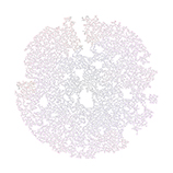 The print 'Tree Circle'